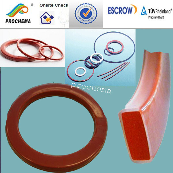 Teflon double layers encapsulated ORing with VIton or Silicone